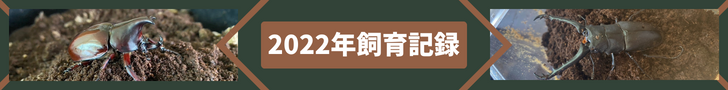 2022年度クワガタ・カブトムシの飼育記録